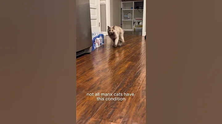 Watch the video about Manx Syndrome