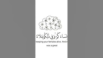 #سورة #ابراهيم #ترند صلي علي آلنبي صلي آلله عليه وسلم تسليمآ 🌿💙