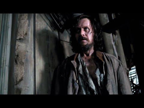 In which film does Harry Potter meet Sirius Black?