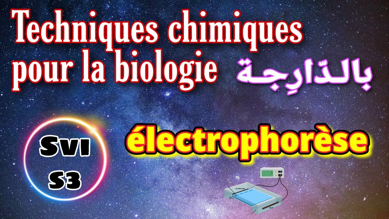 7- techniques chimiques pour la biologie - électrophorèse - (Svi s3)