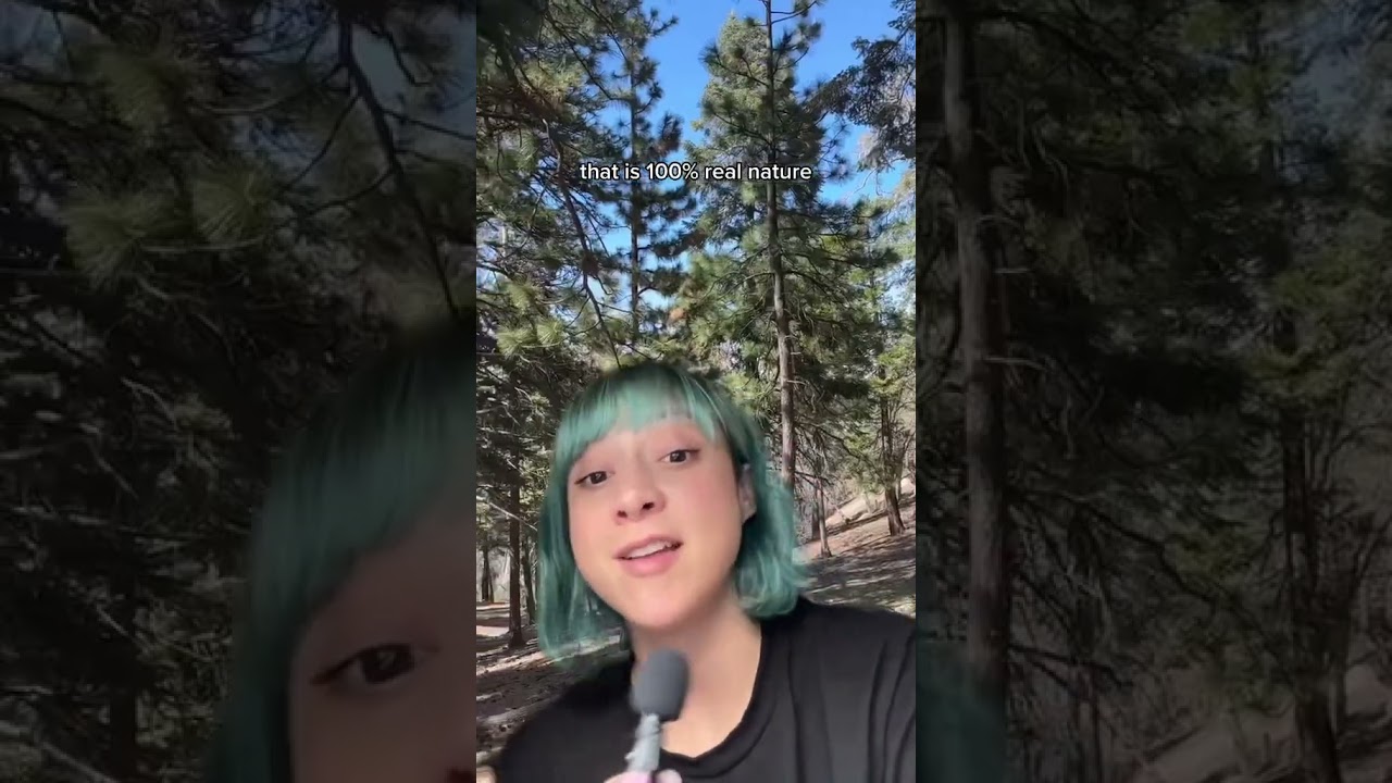 I stayed in a getaway house in big bear 