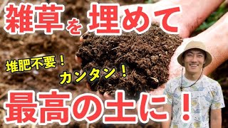 堆肥代わりに雑草を埋めよう！簡単土づくりのやり方を教えちゃいます！