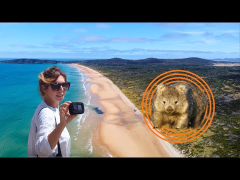 Exploring Tasmania: Empty Beaches, Stunning Hikes, National Parks