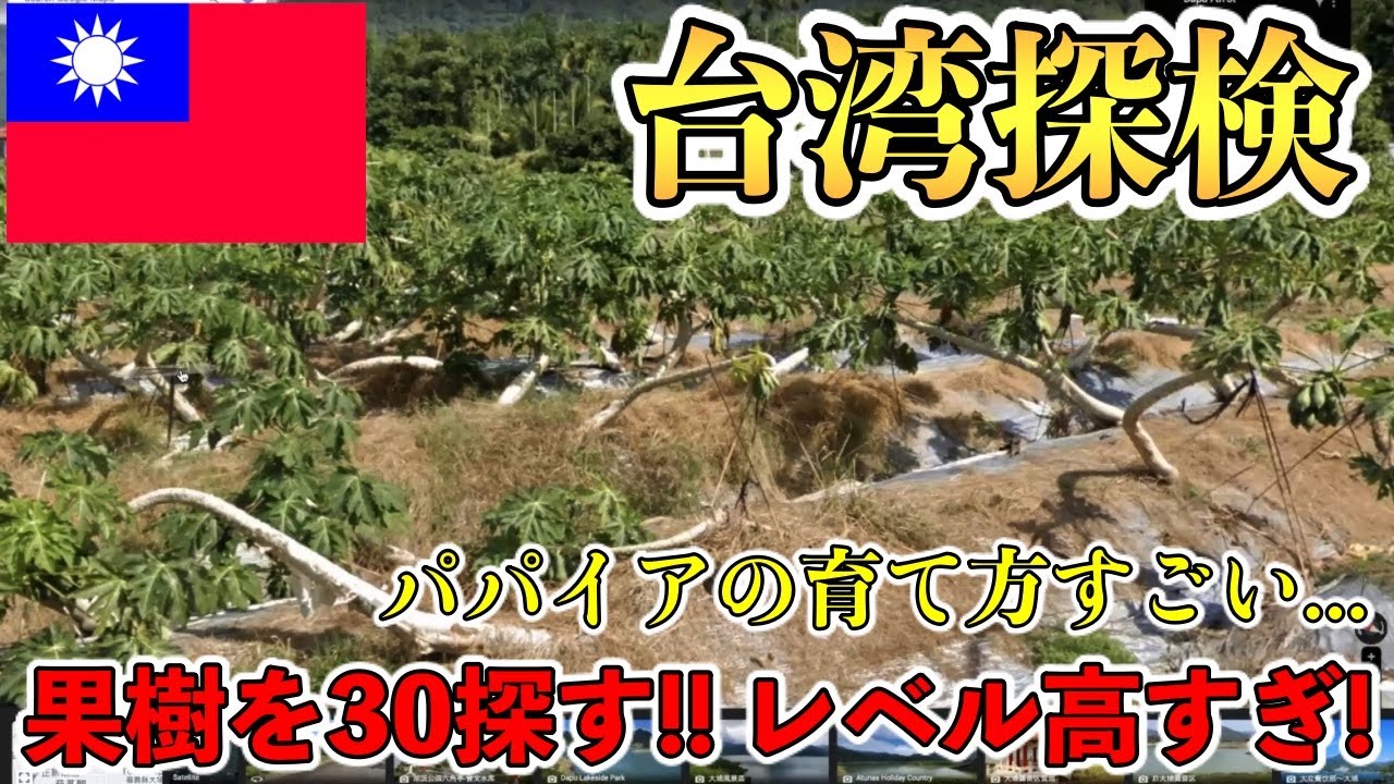 セカタビ#3】熱帯果樹大国の「台湾」の栽培技術がすごかった