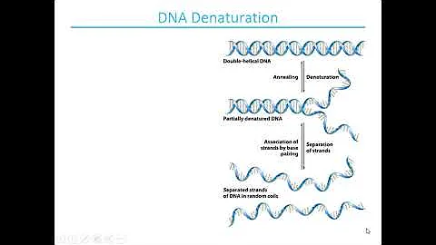 Chapter-9: DNA Based Information technologies- Part 1 - DayDayNews