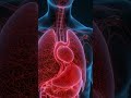 medical health
