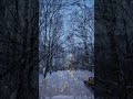 ❄️Mystical Snow: Hans Zimmer's Time Awakens Sleeping Park #snow #moscow #shorts #time