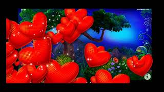 forzza 365 tn بونياس عفاط