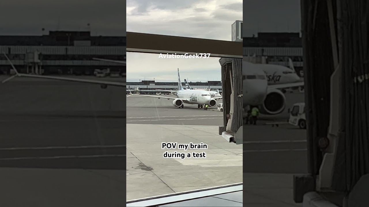 POV my brain during a test