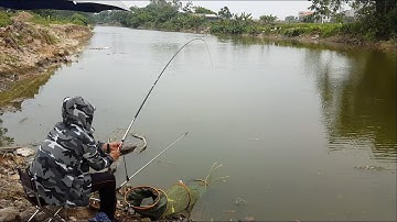 Đi câu cá sông tự nhiên được toàn cá diếc khủng