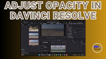 How to Adjust Opacity in Davinci Resolve