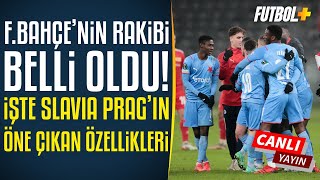 Fenerbahçenin Konferans Ligi Rakibi Belli Oldu İşte Slavia Pragın Bilinmeyenleri