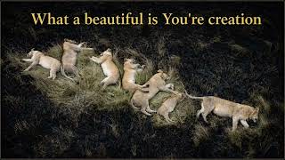 What a beautiful creation it is new Christian lyrics worship songs