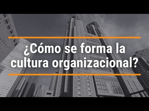 ¿Cómo se forma la cultura organizacional?