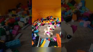 My First Building By Constructor