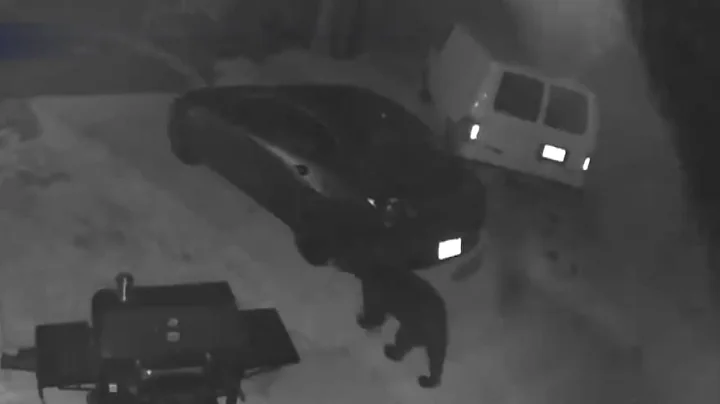 SEE IT: Bear opens car doors