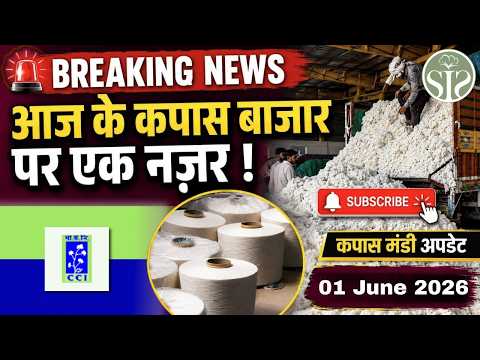 आज देशभर में रुई के ताज़ा भाव 😱 Market review #youtube #smartinfo