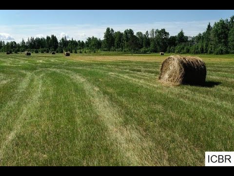 17113 River Rd, Grand Rapids, MN home video tour
