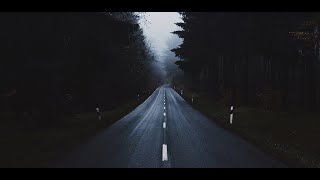 forest road wallpaper screenshot 3