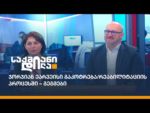 ჯორჯიან ეარვეისი გაკოტრება/რეაბილიტაციის პროცესში – გეგმები