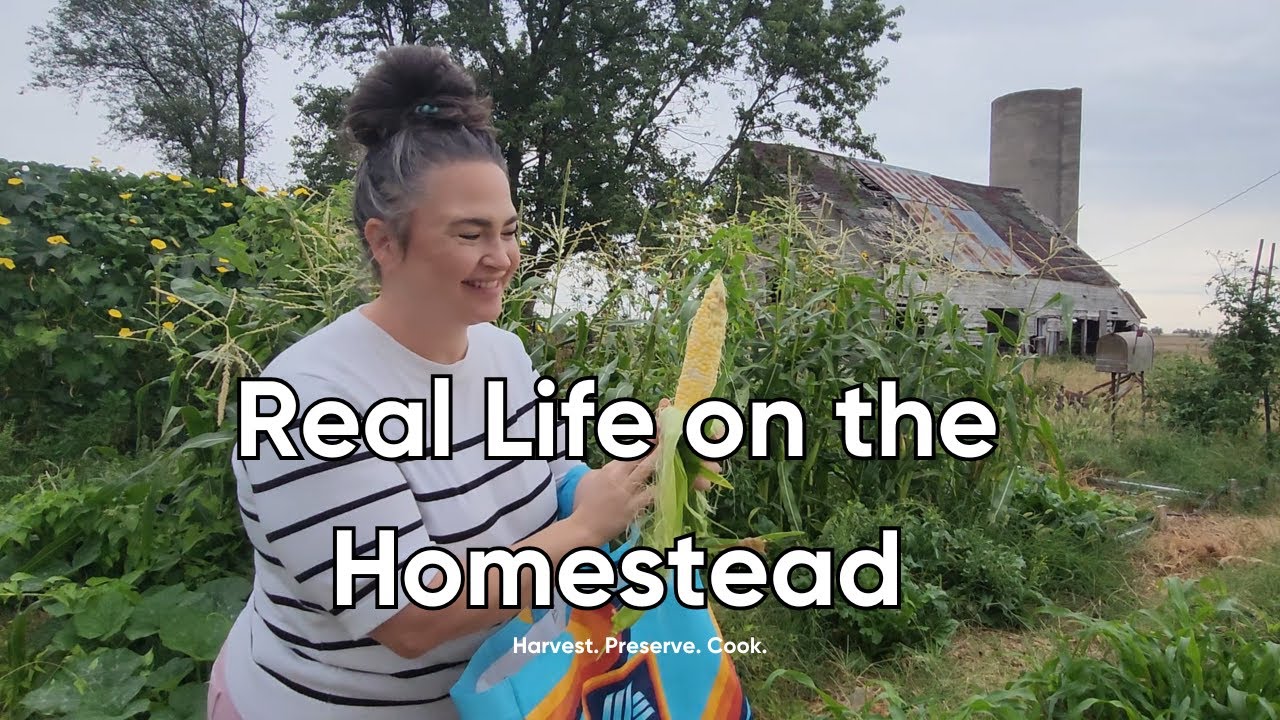 Day in the Life on Our Busy Homestead | Harvesting, Canning, Sourdough