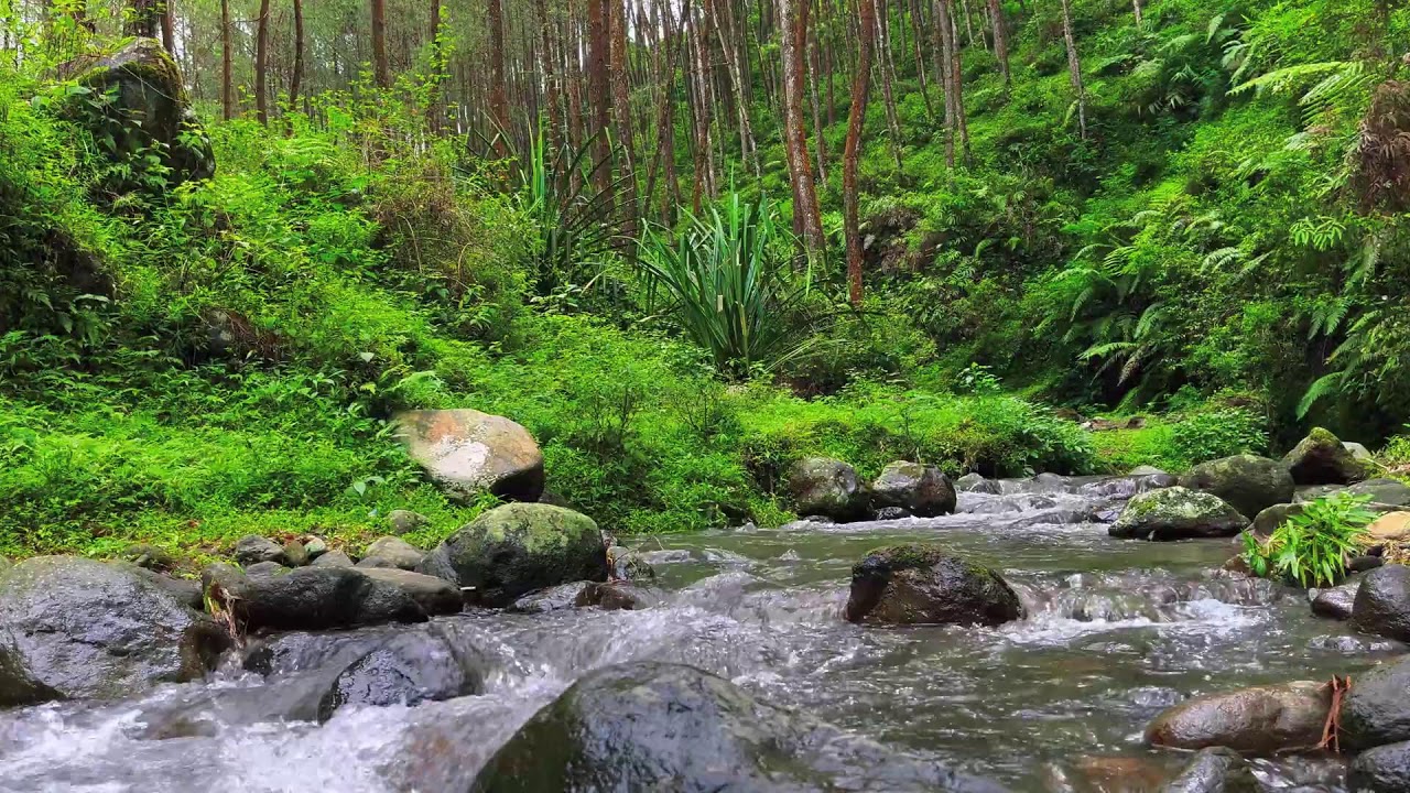 Flow of Calm – River Sounds for Deep Focus, Mind Balance & Stress Relief