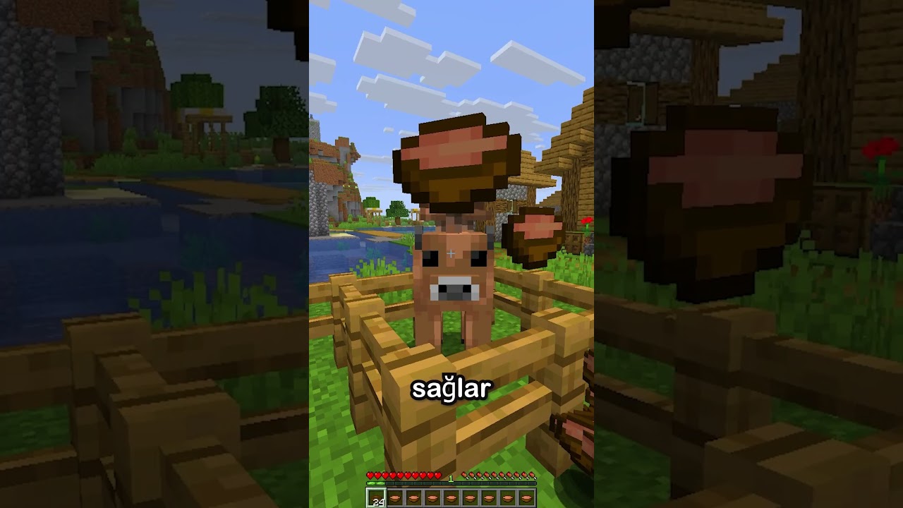 MİNECRAFT'TAKİ EN İYİ HAYVAN ⛏💎