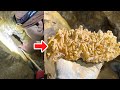 熱水脈鉱床から水晶クラスターの採集