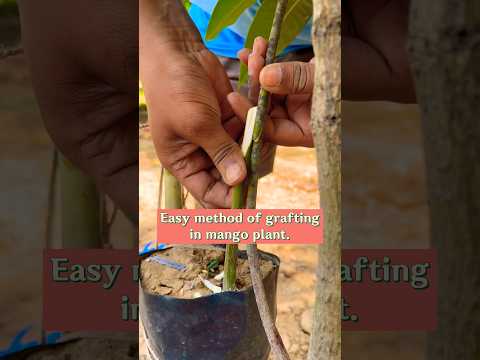 Easy method of