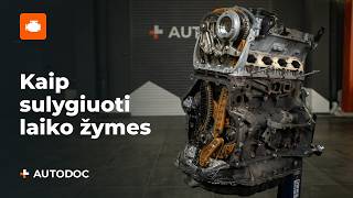 Patarimas, ką daryti dėl klaidos kodo P0135