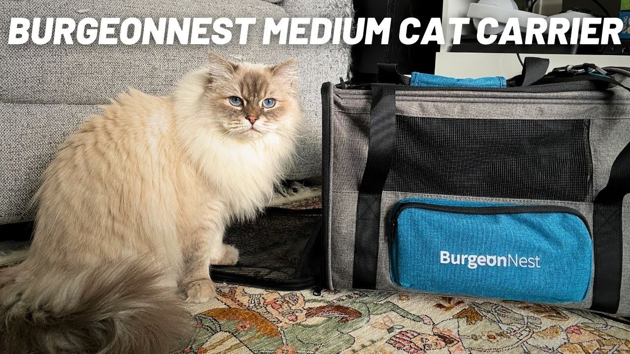 BurgeonNest Cat Carriers for Medium Cats Under 25 lbs, Pet Carrier for Cats