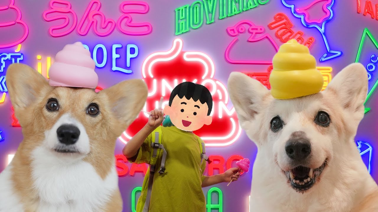 コーギーと暮らす小学3年生の夏休み【うんこミュージアム編】