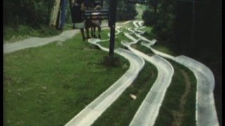 Action Park NJ and Great Adventure, 1980  8MM film