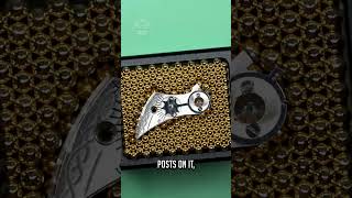Thumbnail for Pocket Watch Learning Curve
