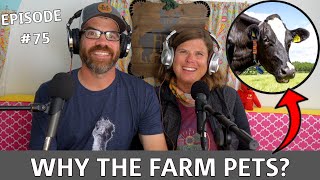 Why Would We Want A Pet Steer On The Farm? Podcast Ep. 75