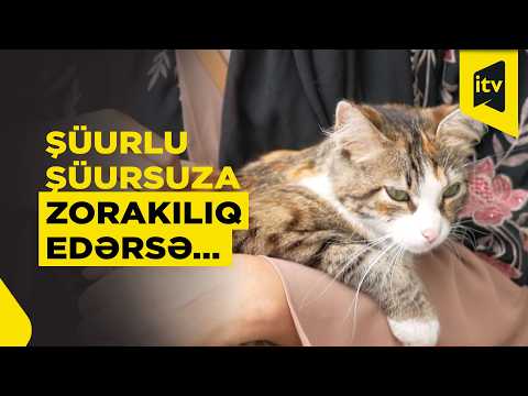 Heyvana zərər verən insan psixologiyası və qanun