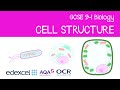 GCSE Biology: Cell Structure (prokaryotic, eukaryotic, and bacterial cells)