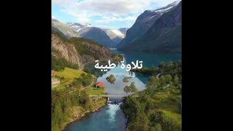 تلاوة طيبة وجميلة من آواخر سورة الزمر