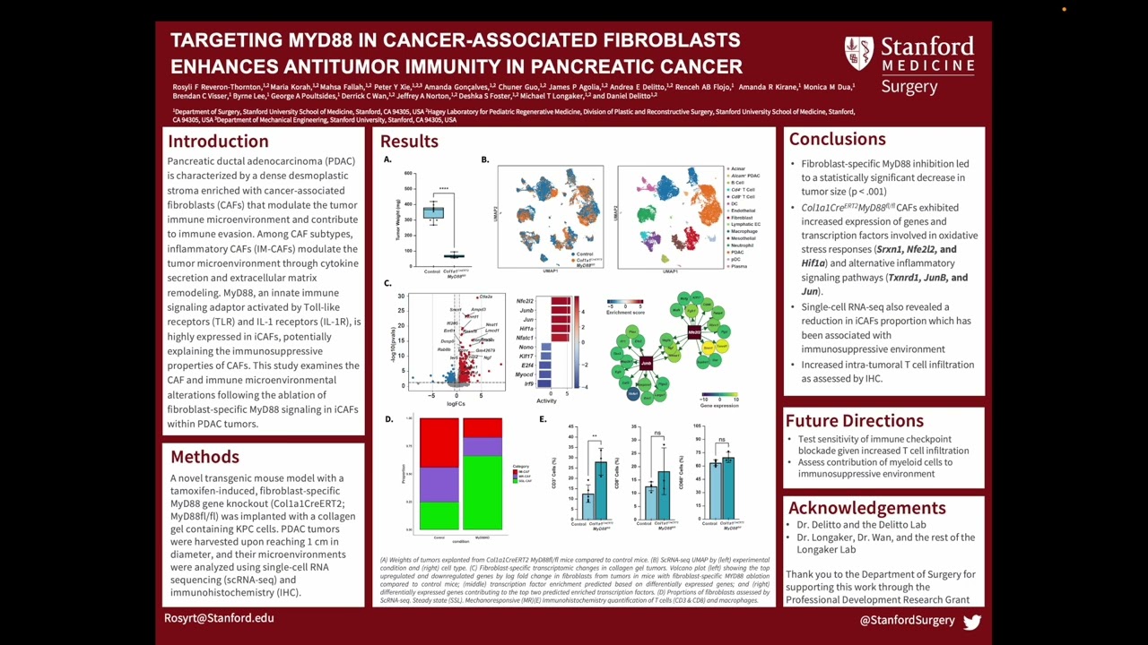 Targeting MyD88 in Cancer-Associated Fibroblasts Enhances Antitumor Immunity in Pancreatic Cancer