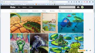 Flickr tutorial for entering contests - Frogs Are Green 2015