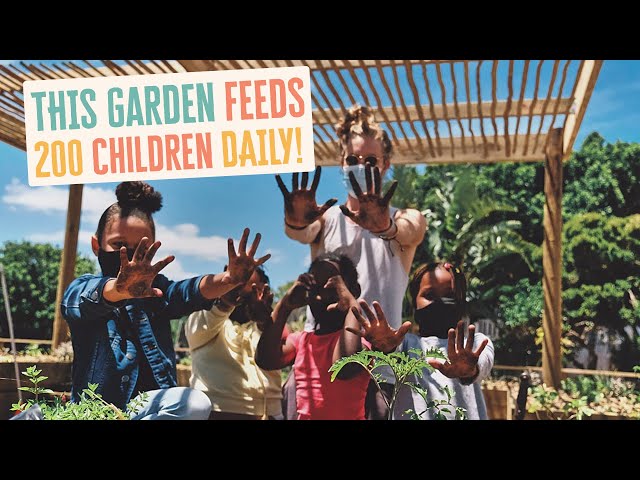 The Big Food Drive's First Community Garden