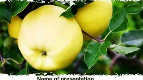 Yellow Apple PowerPoint Template by PoweredTemplate.com