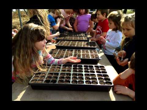 Oak Run Elementary School and Garden Project 2013-2014