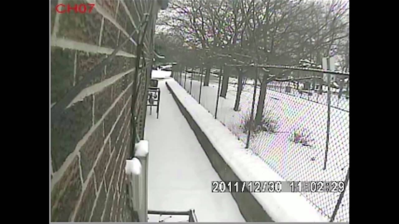 Homicide of D'Mitre Barnaby & Danzig Street Homicides of Shyanne Charles & Joshua Yasay