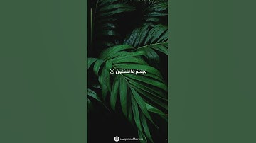 وهو الذي يقبل التوبة عن عباده ويعفو عن السيئات ويعلم ما تفعلون |سورة الشورى| بصوت القارئ اسلام صبحي