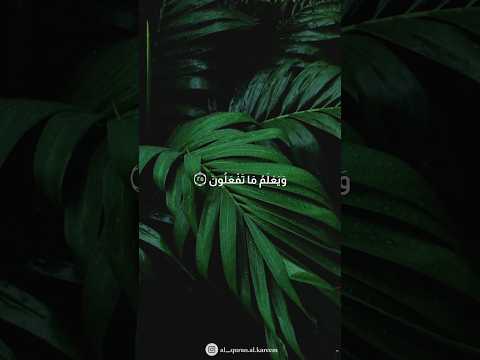 وهو الذي يقبل التوبة عن عباده ويعفو عن السيئات ويعلم ما تفعلون سورة الشورى بصوت القارئ اسلام صبحي