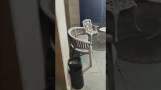 Dog Fats at The Baskerville Hall Hotel, Clyro, Hay-on-Wye, Powys #wales