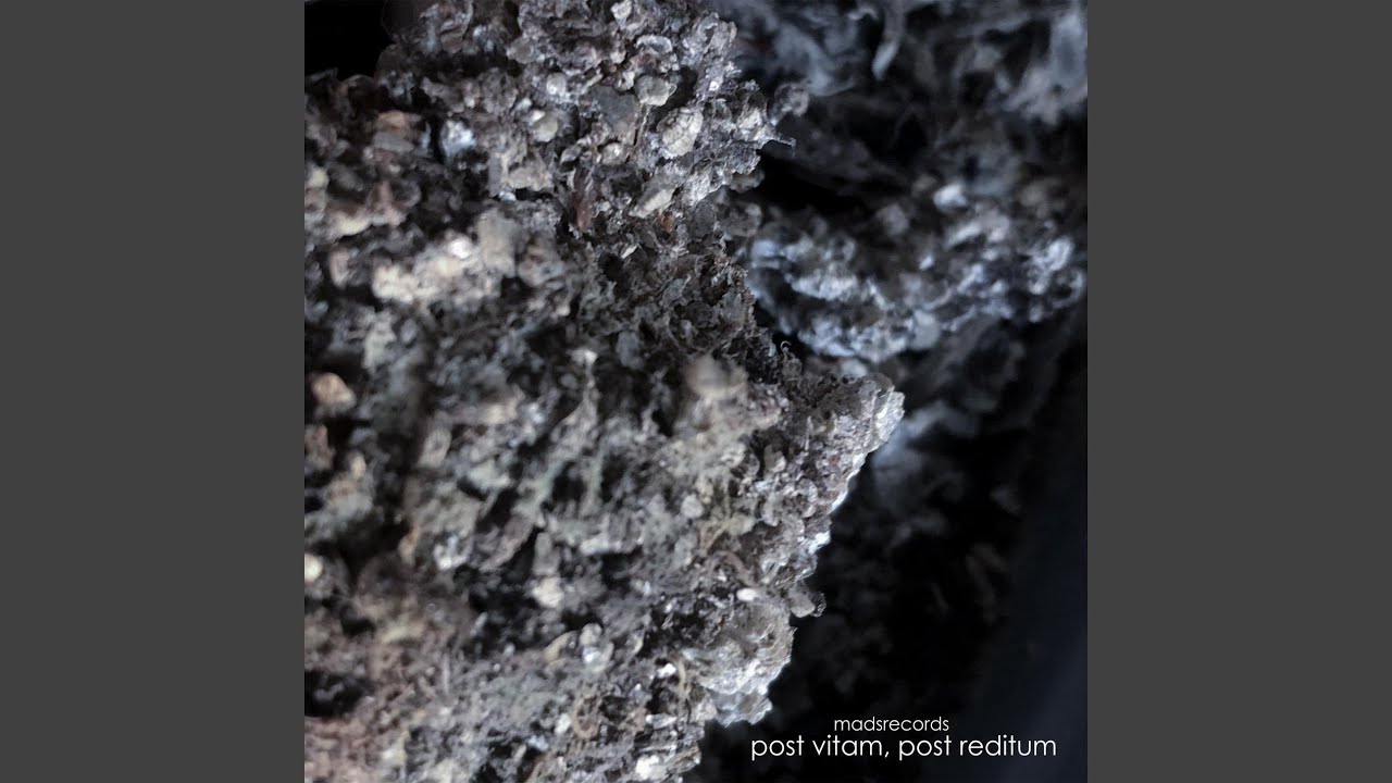 post vitam, post reditum