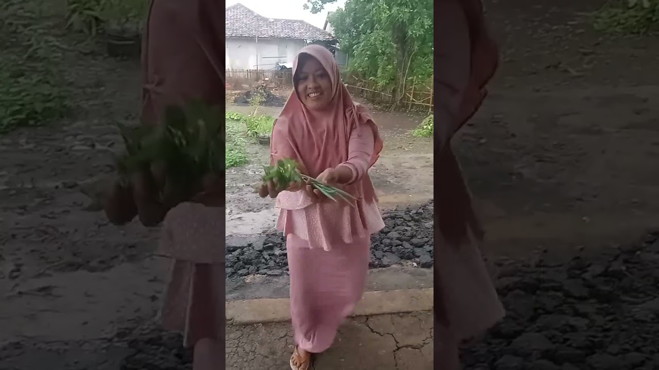 Habis ngebresihin rumput lanjut masak blakutak oncom