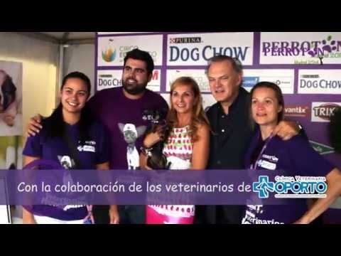 ASÍ FUE PERROTÓN MADRID 2014
